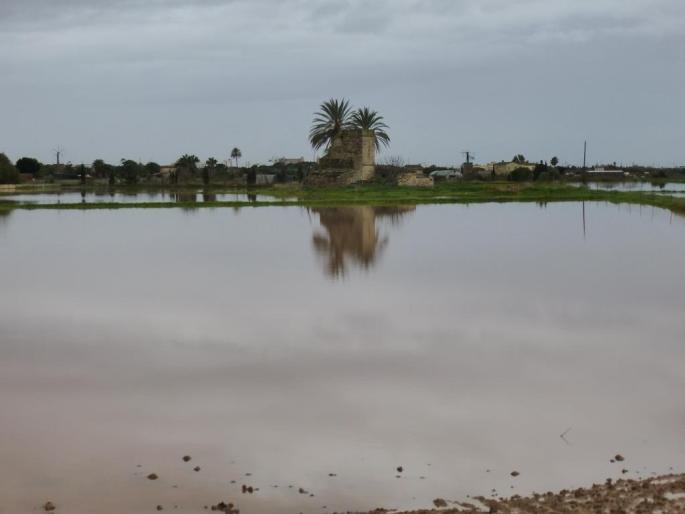 Campos anegados