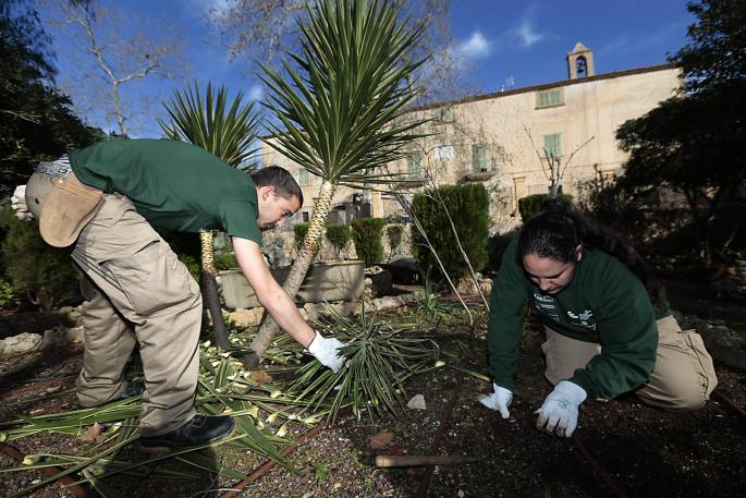 CALVIA. JUVENTUD. 30 jÃ³venes en paro participan en los tres programas de garantÃ­a juvenil