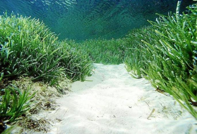 El mar se calienta en Baleares: sube la temperatura hasta los 28'1º