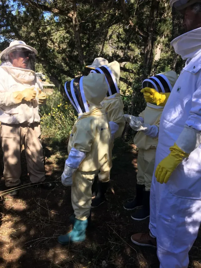 Éxito rotunda de la primera jornada de la actividad educativa «Descubramos la Miel de Formentera»