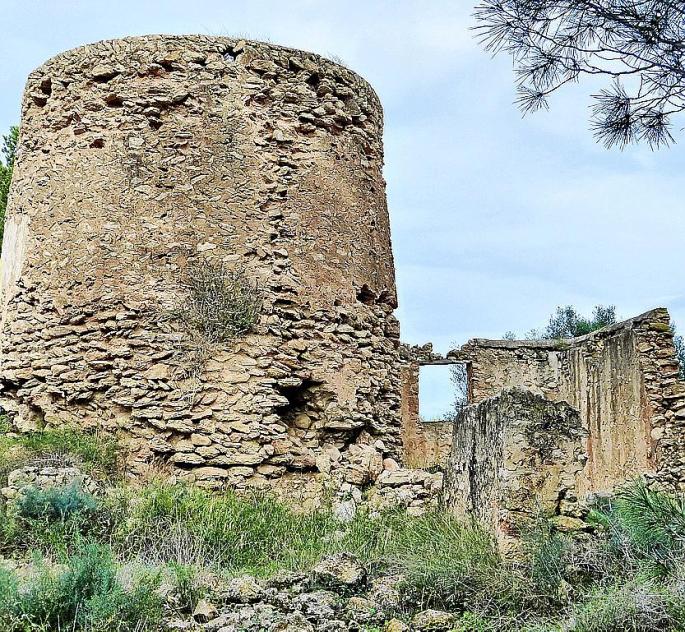 Tanto la torre como la vivienda anexa, cuyos orígenes se remontan a 1568, se encuentran en un estado de ruina total, repleto de