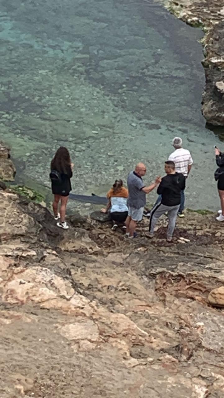 Las mejores imágenes del tiburón de dos metros encontrado en Sant Antoni