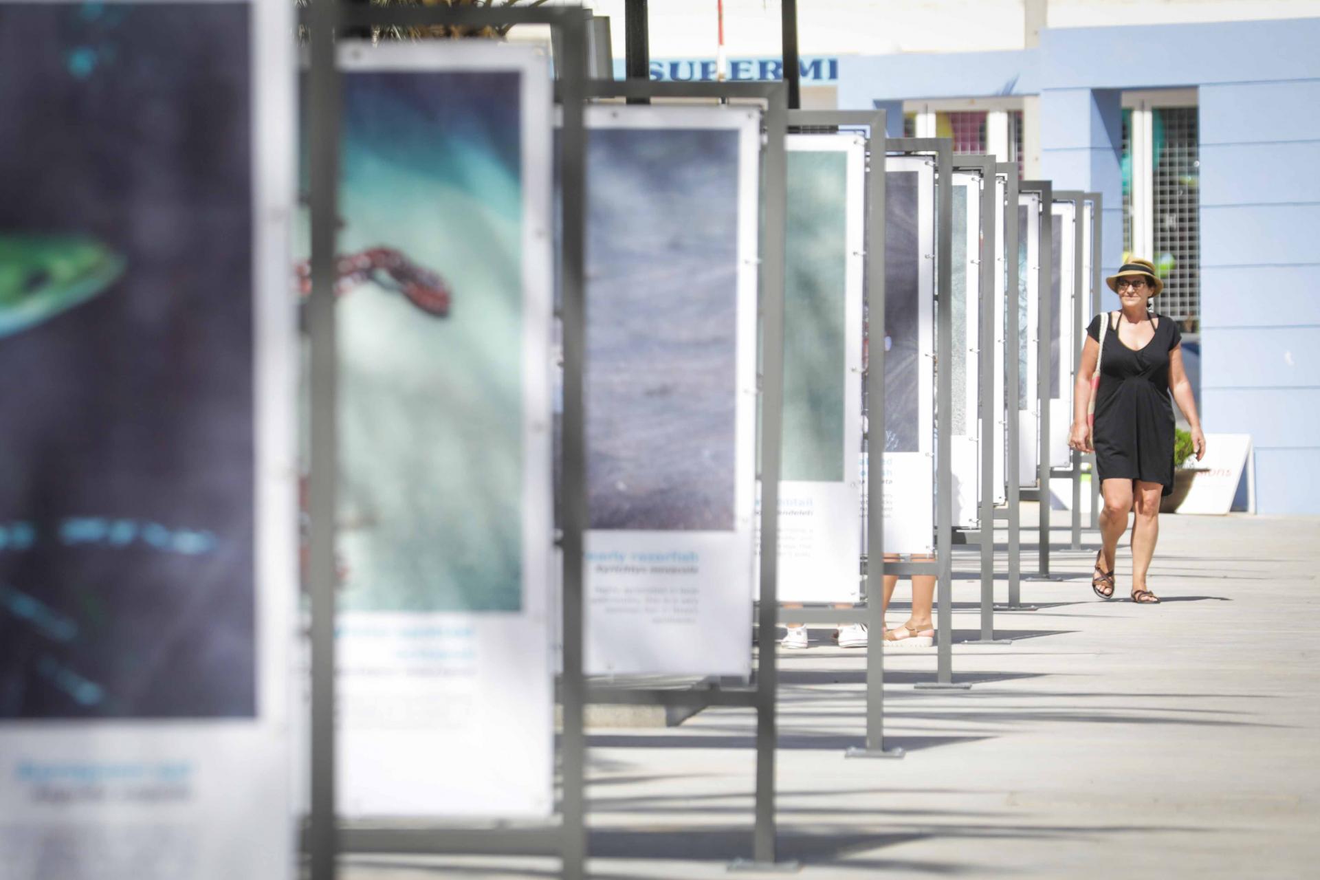Las mejores imágenes de la exposición de pesca submarina en el paseo del puerto de Sant Miquel