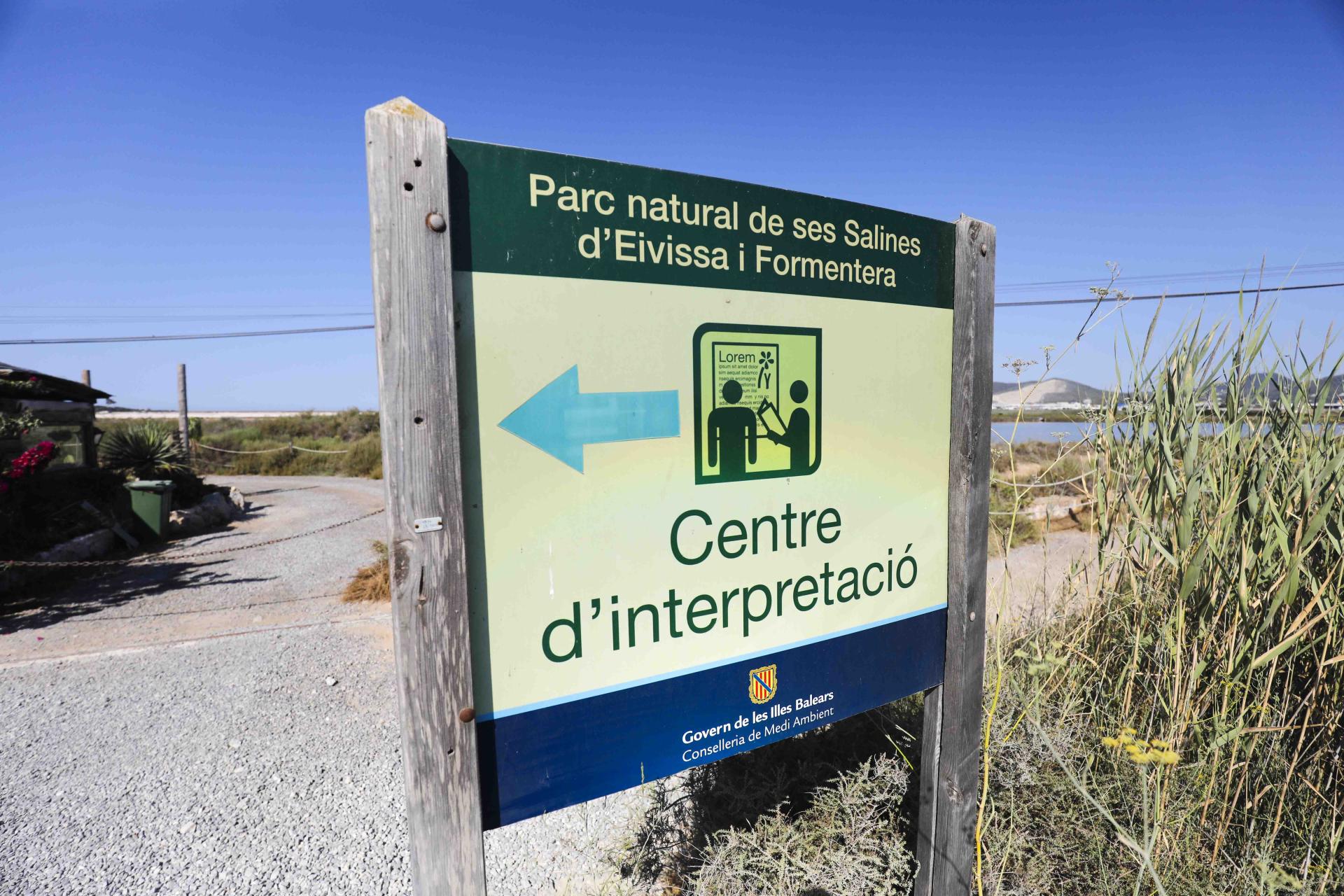 Los flamencos en el parque natural de ses Salines en imágenes