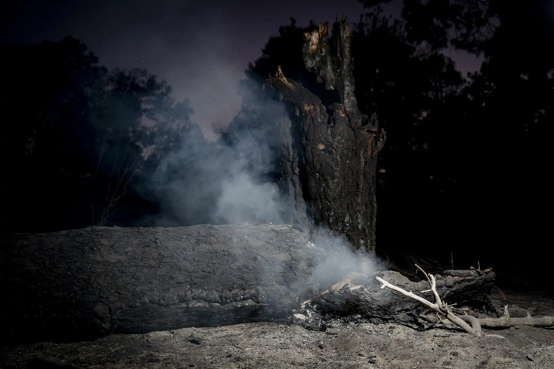 Detenido 'El Perejil', acusado de provocar el mayor incendio de la historia de España
