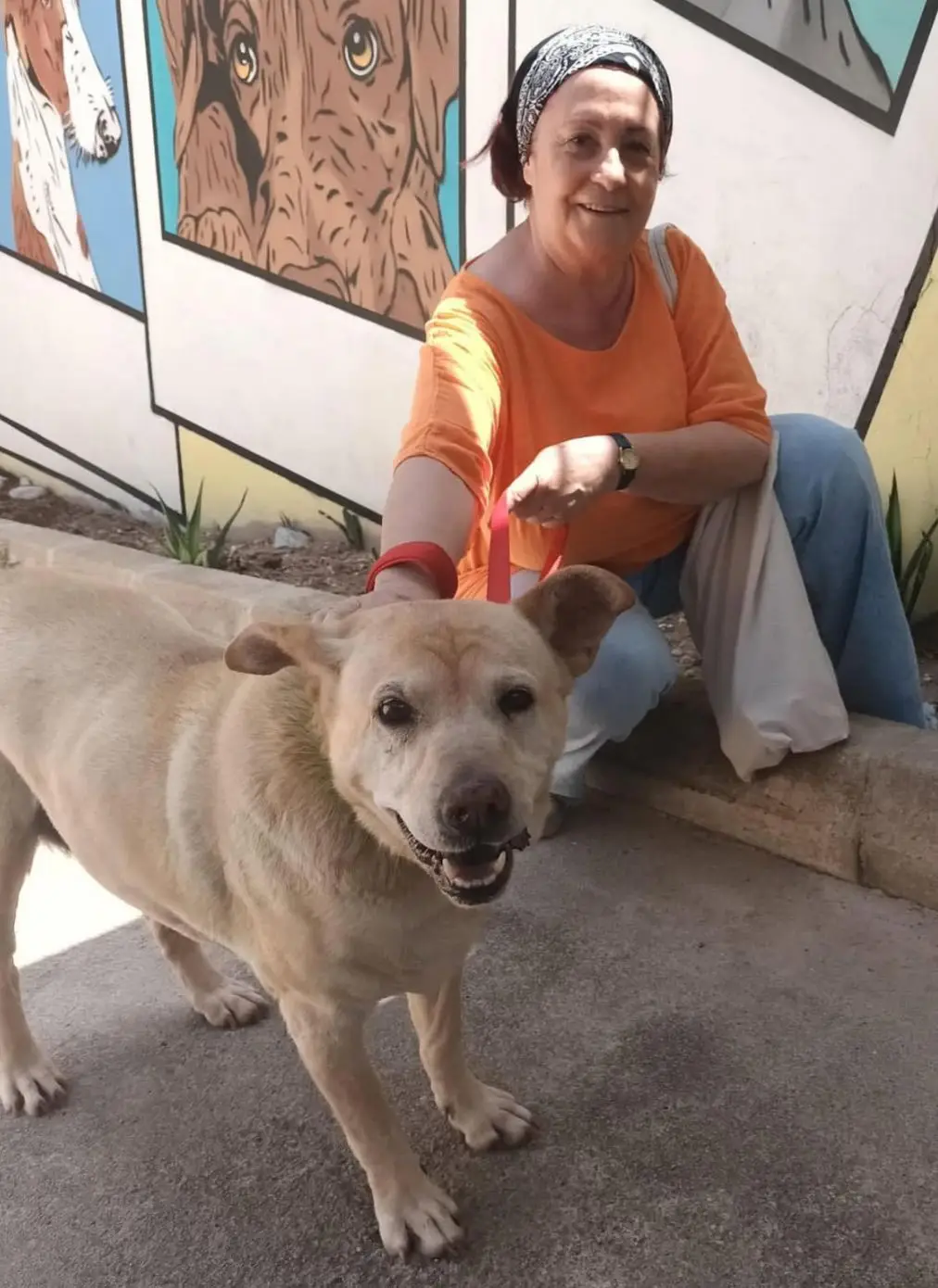 Vila tramita la sanción por abandono animal de Kali, una perrita hallada en sa Joveria en 2025