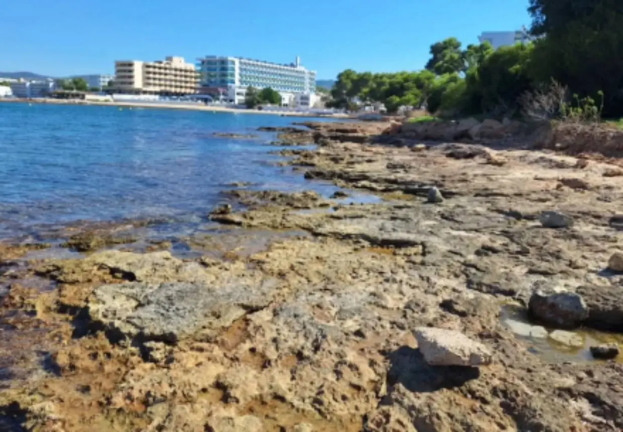 Reabierta al baño la playa Caló d’en Serral tres días después