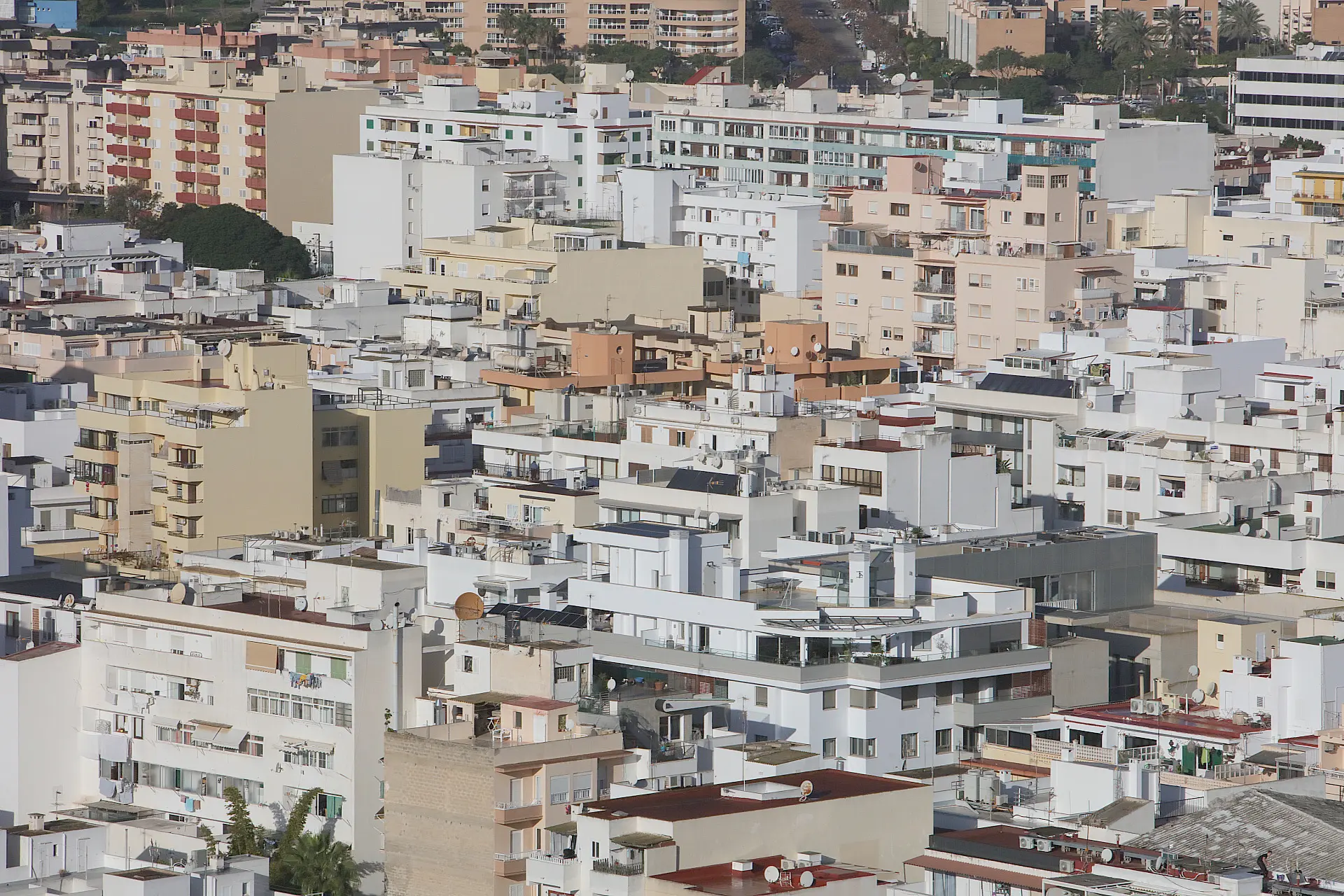 Realquila una habitación en un piso en Ibiza y le agreden: «¿Qué tiene que pasar? ¿Tiene que haber sangre?»