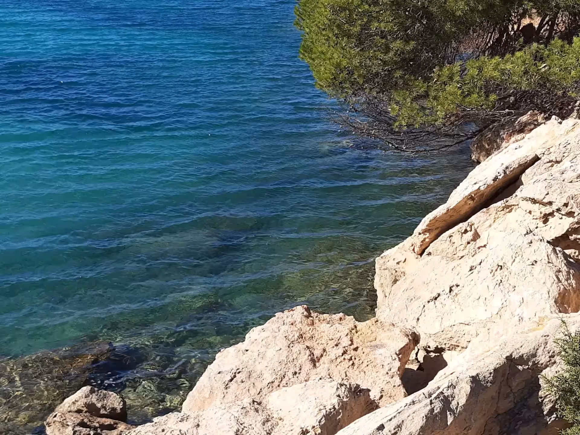 ¿A qué temperatura está el agua en Ibiza y cuándo es mejor bañarse?