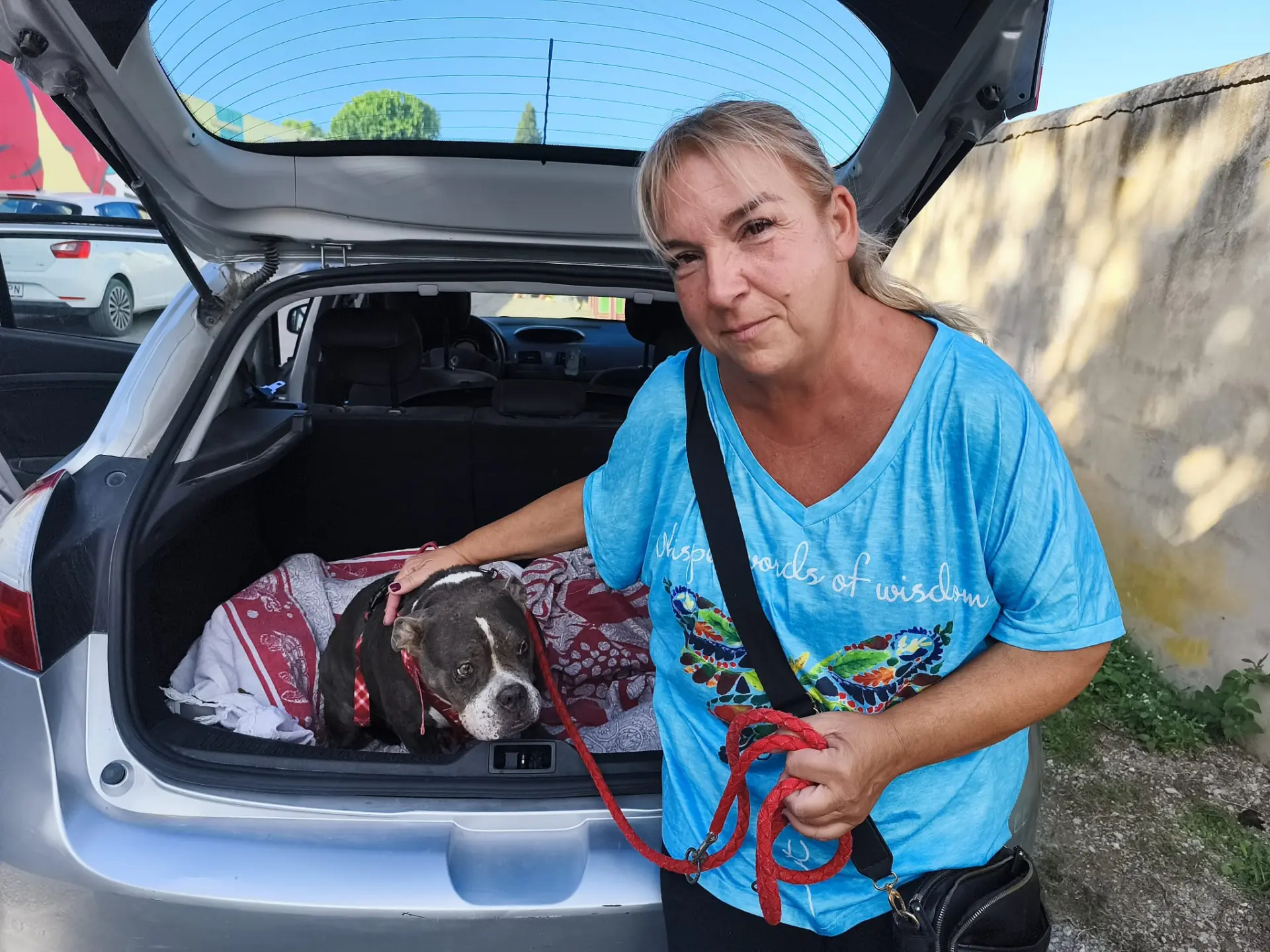 Noa, la perra abandonada y atada a las puertas del hospital público de Ibiza, encuentra por fin un hogar con Gema