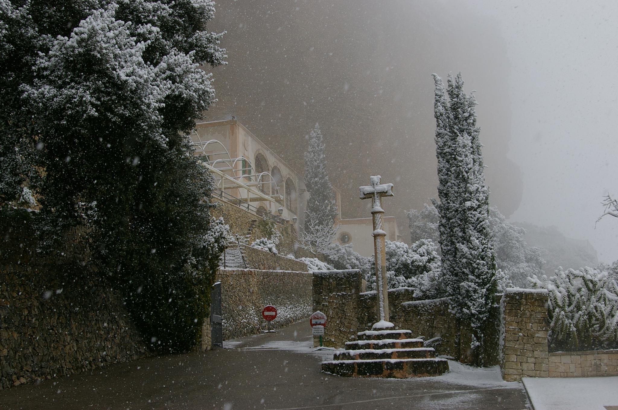 Llucmajor nevado
