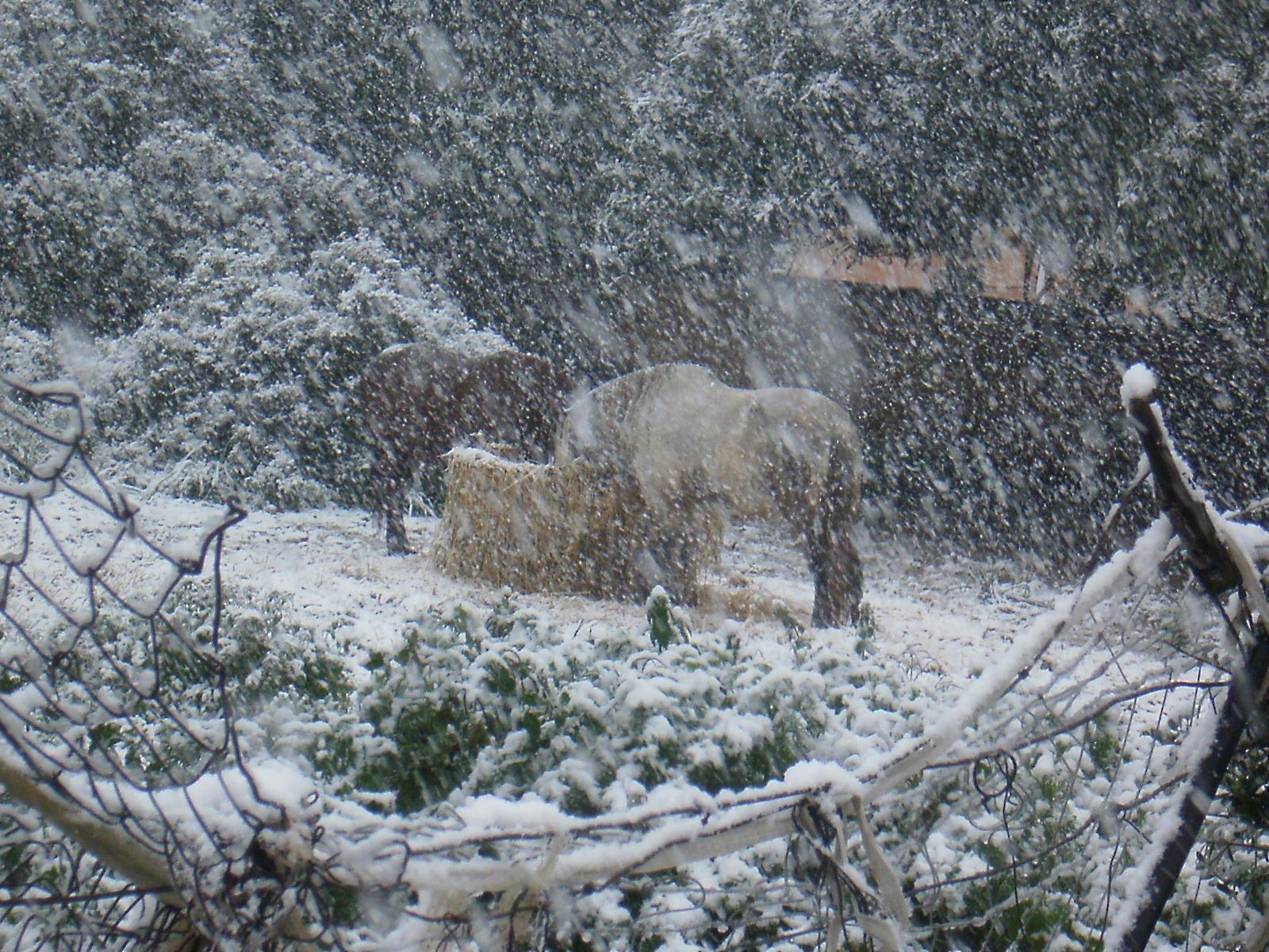 Santa Eugènia