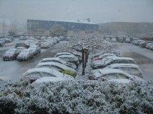 Nieve