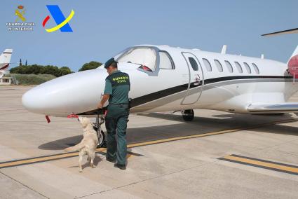 Detenido un pasajero de un vuelo privado que llegó a Ibiza desde Las Vegas con Tucibi, cocaína y hachís en su maleta