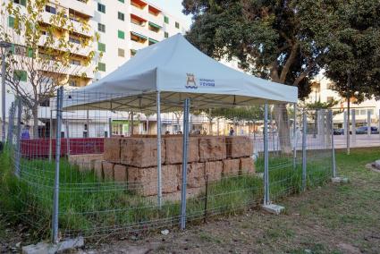 Detalle de los restos del mausoleo de la época romana que fue hallado en noviembre de 2022.