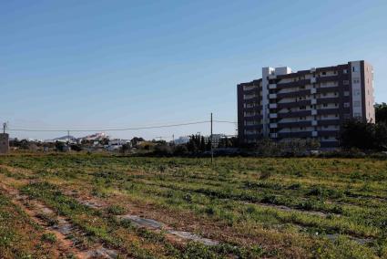 Imagen del solar donde irán las nuevas viviendas para los vecinos, ubicado en la avenida de Sant Jordi, entre los municipios de Sant Josep e Ibiza.