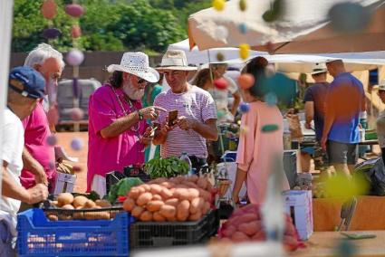 Taller de cocina gratuito Ibiza Produce en Ibiza