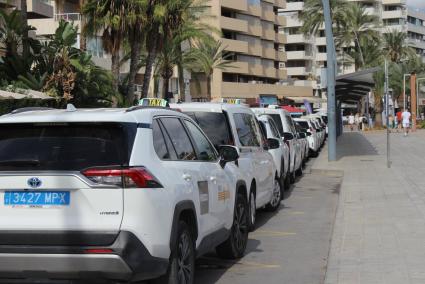 Taxis en la parada de la avenida de Santa Eulària.