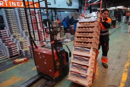 Cae un 5,6% la creación de empresas en Baleares