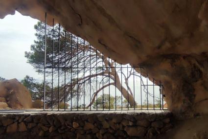 El Consell de Ibiza restaurará la reja que protege la Cova de ses Fontanelles