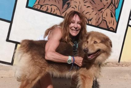 An English family on holiday in Ibiza adopts Yoda, with a chip and abandoned by her owners