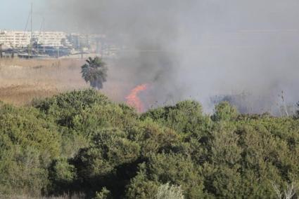 Activada la alerta naranja por riesgo de incendio en Ibiza y Formentera