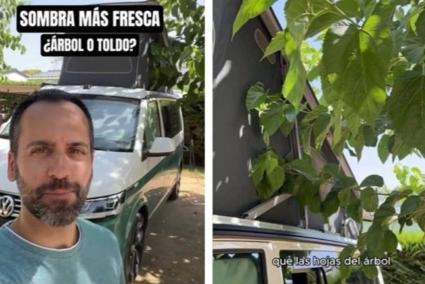¿Toldo o árbol? El experimento de un arquitecto que revela cuál da más sombra y frescura en verano