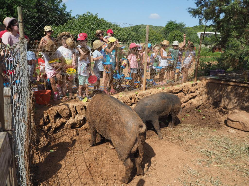 Visita a la finca ecológica Can Musón