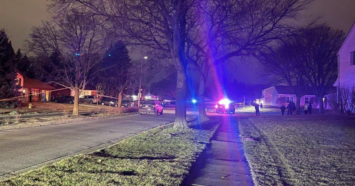 Deadly shooting in Illinois Archyde