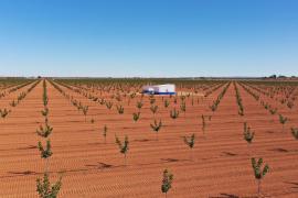 Un exfutbolista de la UD Ibiza invertirá 4,2 millones en pistachos en Castilla-La Mancha