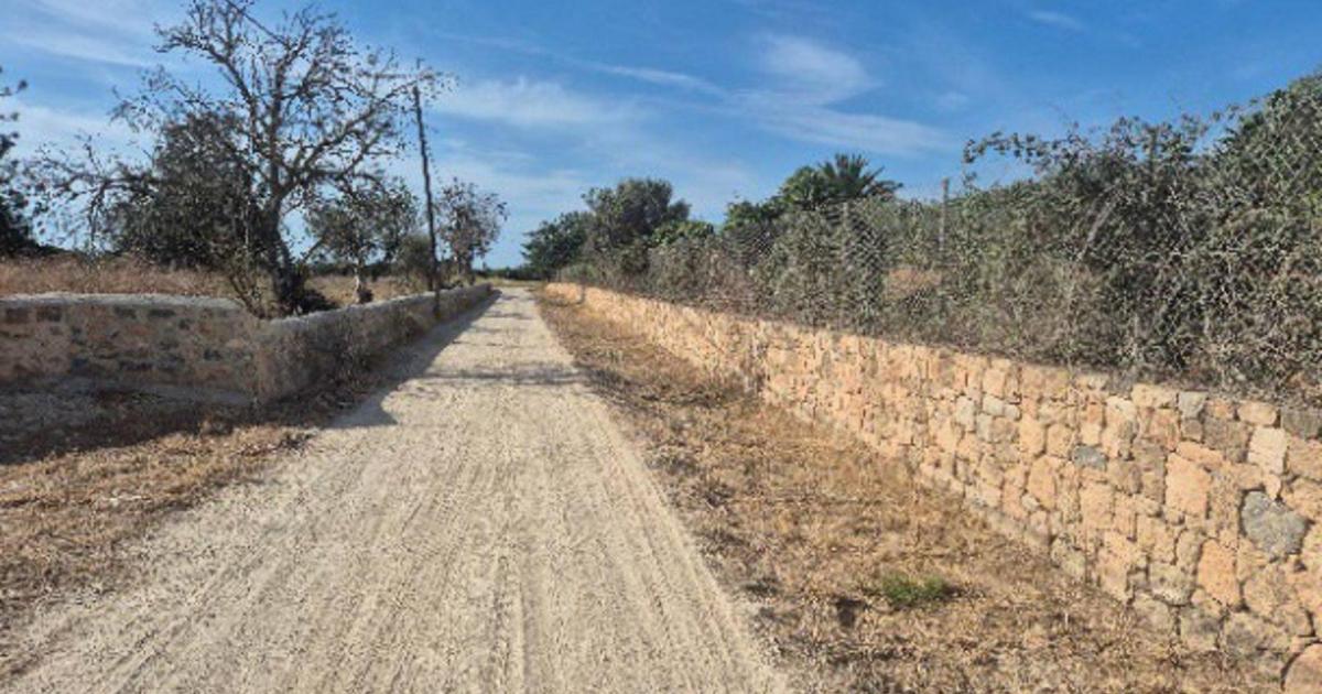 Tres torrentes de Ibiza, dentro del plan de limpieza y mantenimiento del Govern