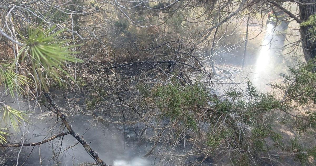 Un incendio forestal calcina en Formentera una zona de matojos