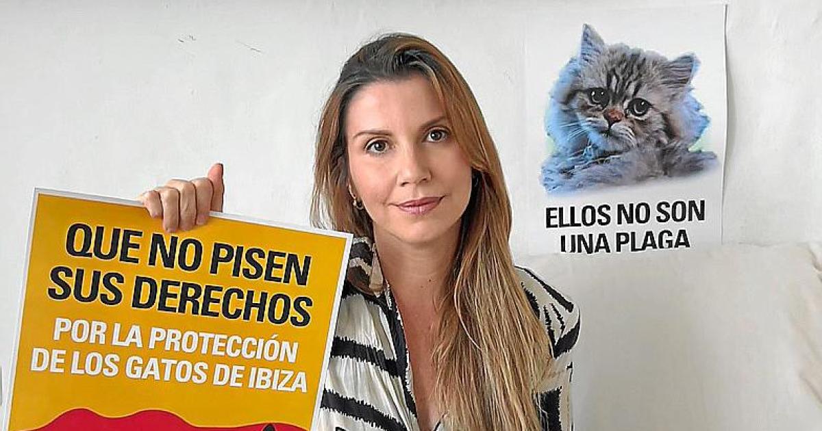 Convocan una protesta en un pueblo de Ibiza «por la protección de los gatos»