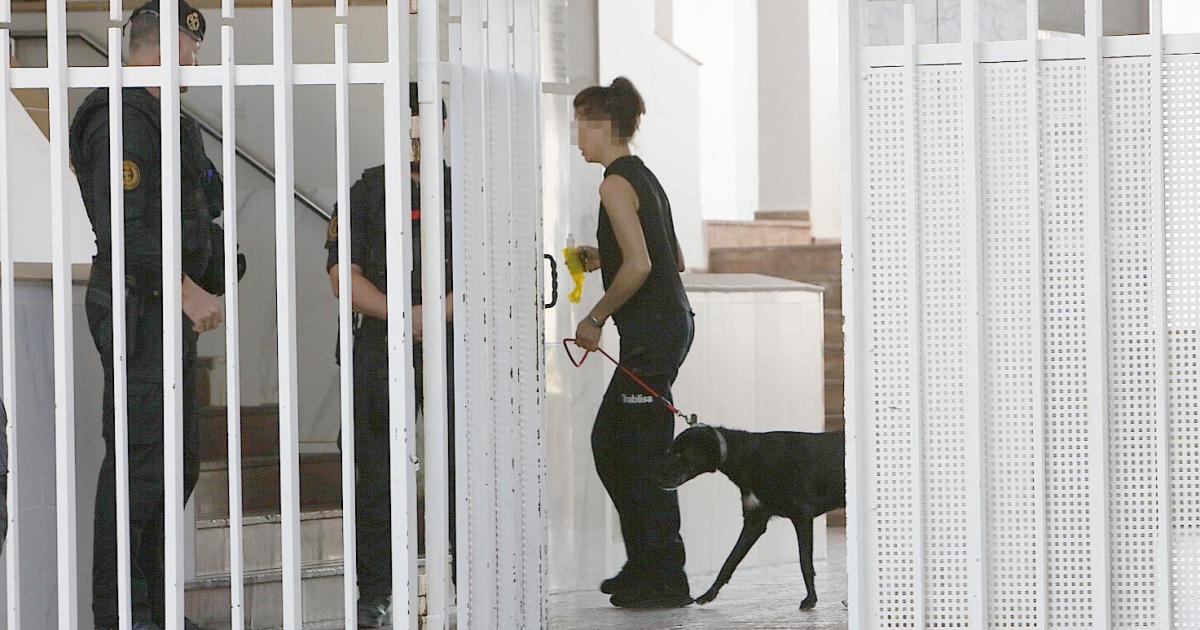El infierno de convivir con la mafia de la droga puerta con puerta en Ibiza