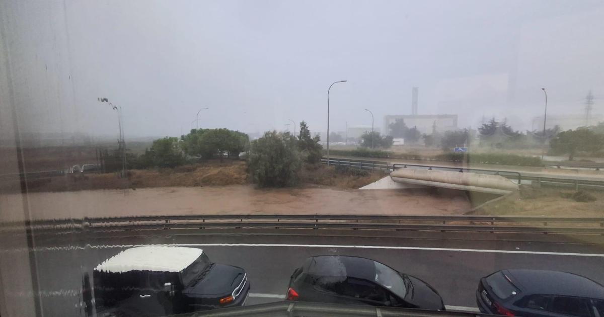 «Los padres que han acudido a los colegios de Ibiza han generado un problema en la gestión de las inundaciones»
