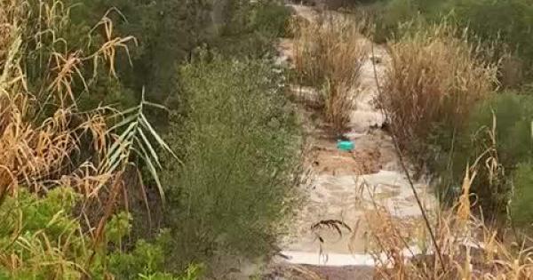Las fuertes lluvias 'despiertan' al río de Santa Eulària