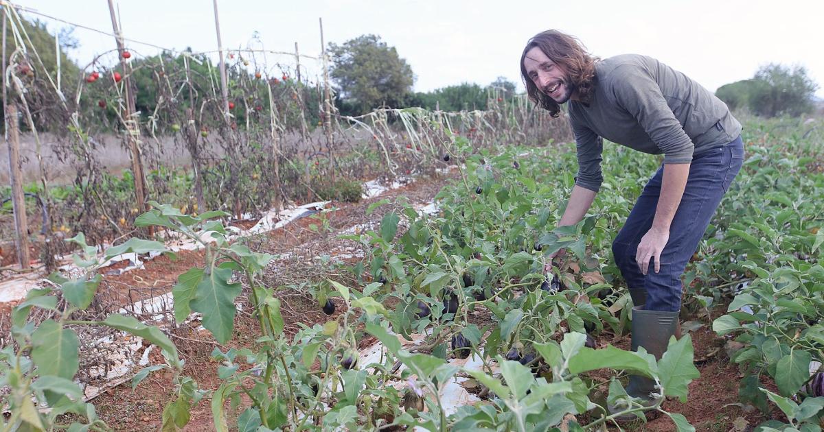 Agricultores de Ibiza celebran las intensas lluvias: «Nos dan un respiro; son muy beneficiosas»