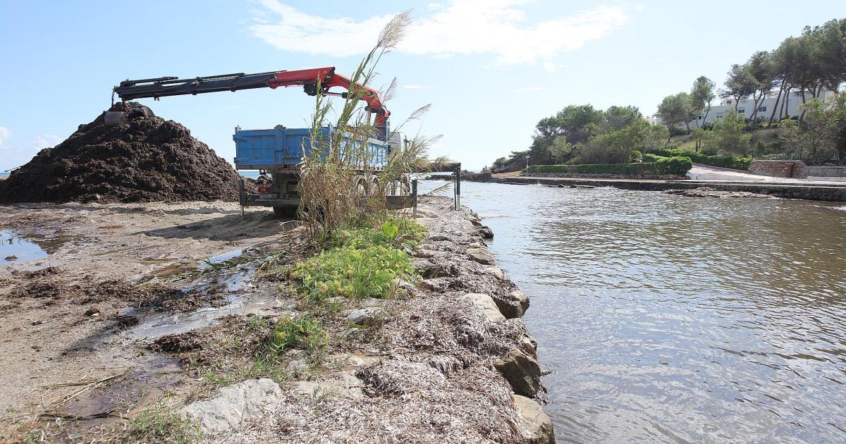 El río de Santa Eulària vuelve a la vida con las intensas lluvias