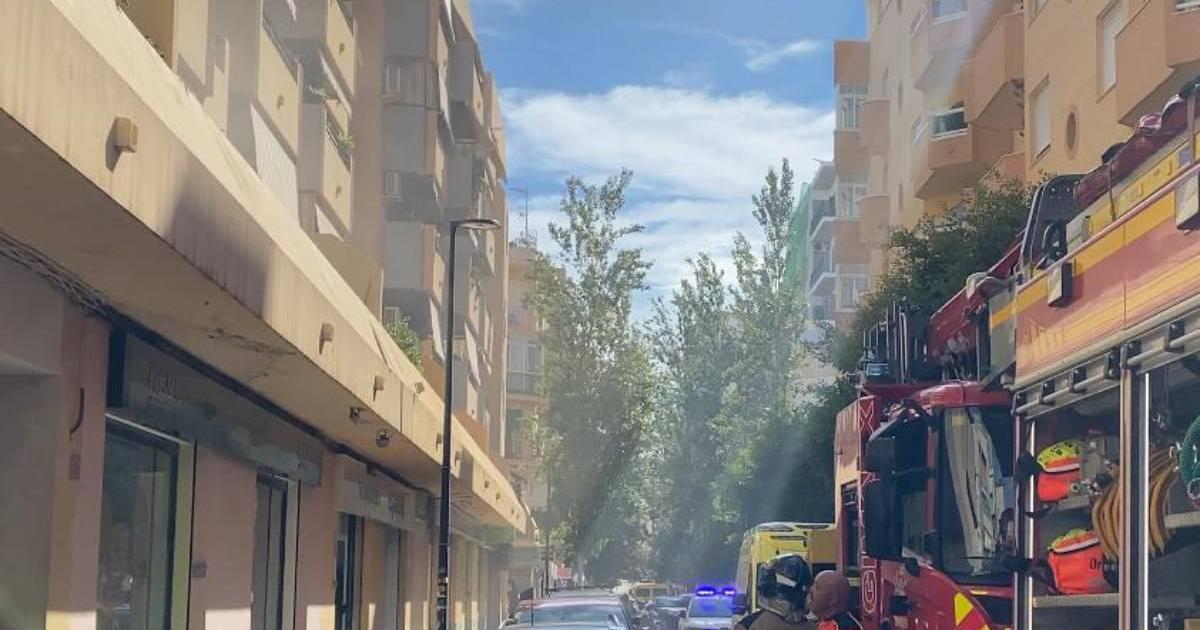 Rescatados un guacamayo, dos gatos y un perro en el incendio de un céntrico piso de Ibiza